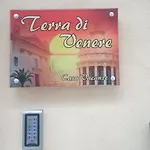Terra Di V E N E R E 2